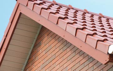 Lyme Regis fascia repair quotes