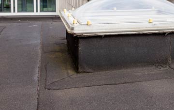 disadvantages of Lyme Regis flat roofs