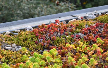the cost of Lyme Regis green roof installation