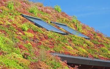 Lyme Regis living roof systems