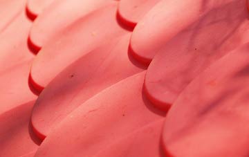 Lyme Regis plastic roof costs