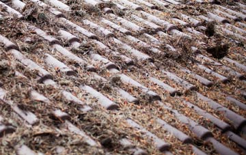 Lyme Regis roof cleaning companies