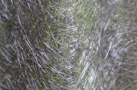 Lyme Regis fibreglass roof work